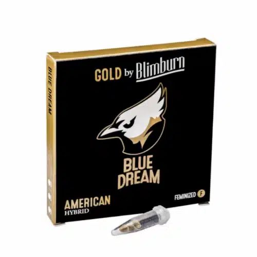 Euphoric Blue Dream Seeds with Sweet Mango Aroma at Blimburn