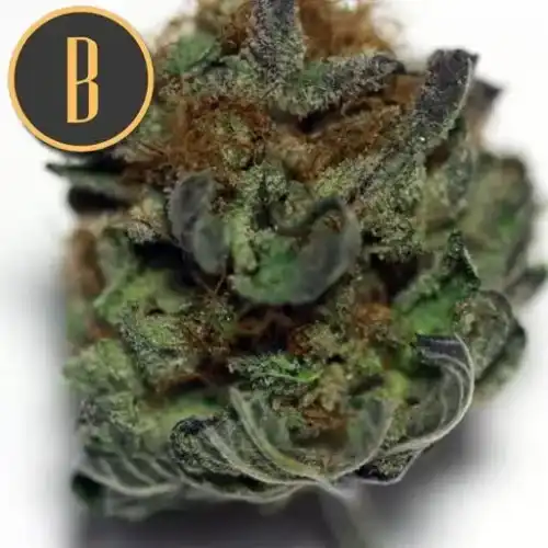 MAMBANEGRABUD