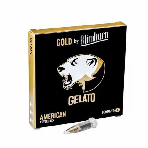 Gelato Seeds