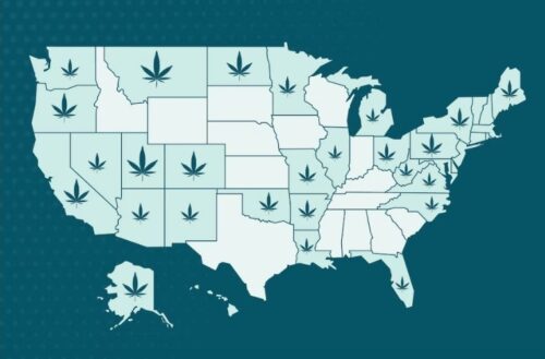 Growing cannabis stage. Tips for Southern States USA