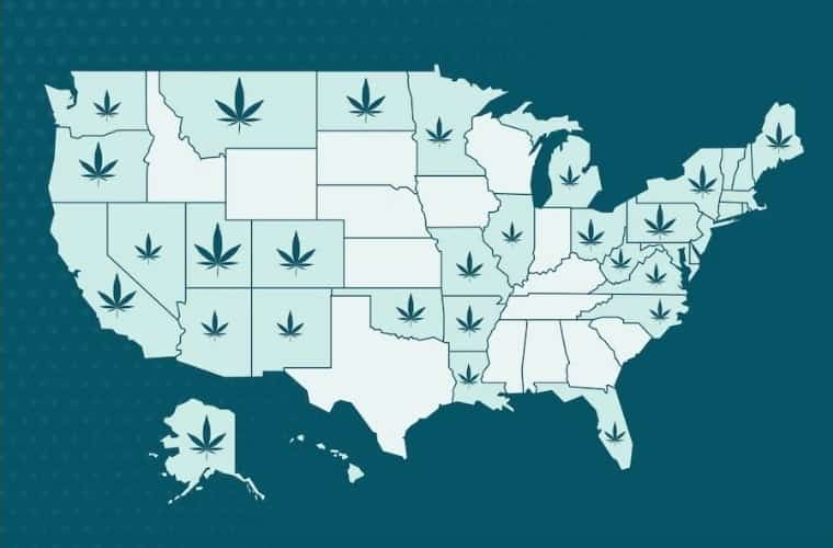 Growing cannabis stage. Tips for Southern States USA