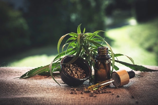 Best CBD Strains 2023
