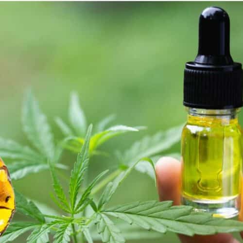 Cannabis Concentrates 101 A Comprehensive Guide