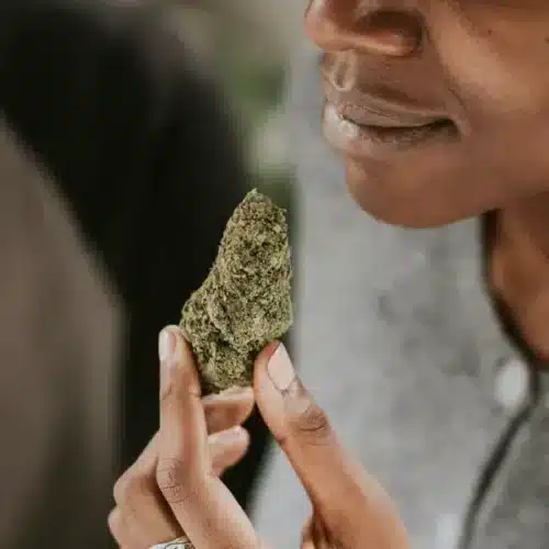 Is Weed a Stimulant