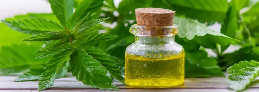 Cannabis Extract