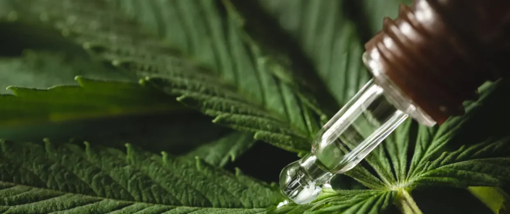 what is cannabis extract