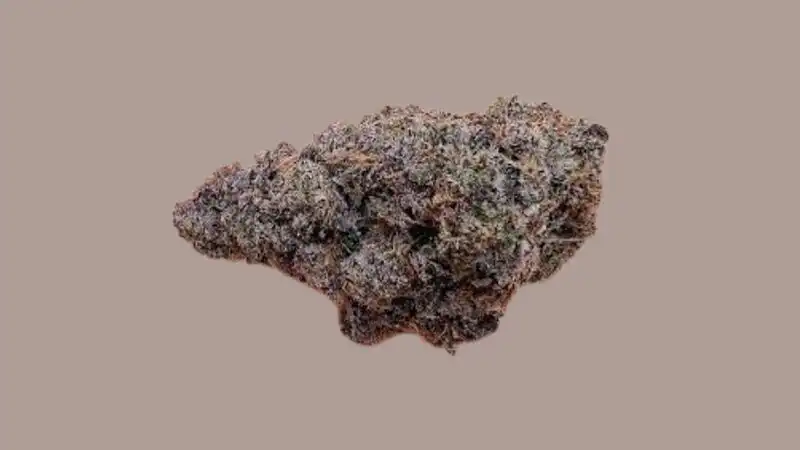 RS11 bud