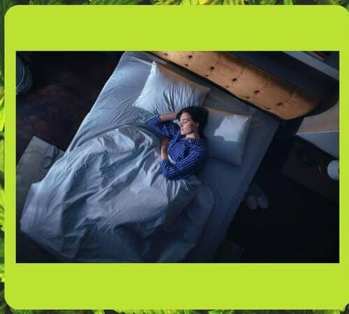 What is the best Strain for Sleep in 2024 - photo cover