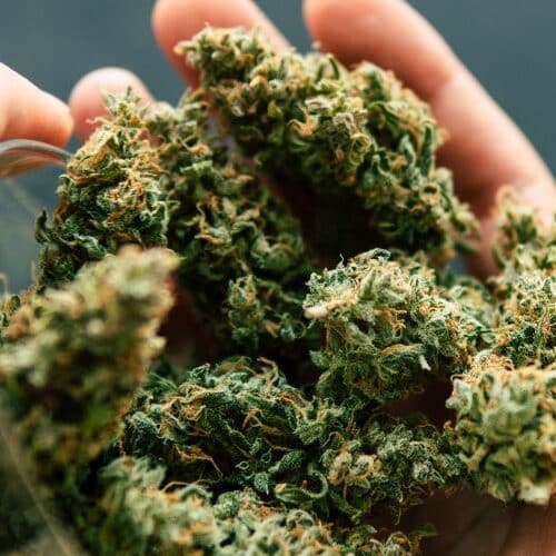 what an eighth of weed