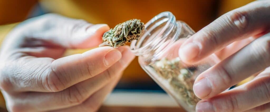 Can weed go bad