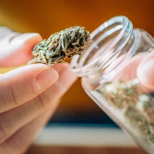 Can weed go bad