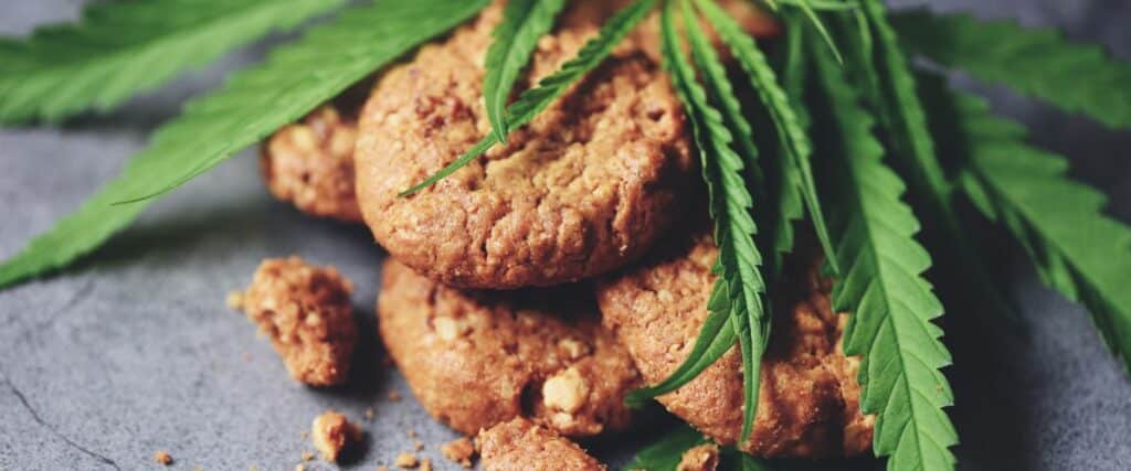 Enjoy the rustic charm of homemade oatmeal cookies enhanced with cannabis. These cookies are a wholesome treat, featuring a natural look with fresh cannabis leaves, ideal for a health-conscious snack.