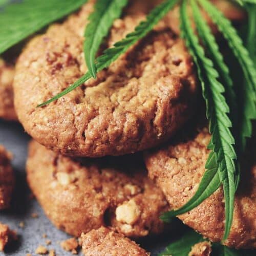 Enjoy the rustic charm of homemade oatmeal cookies enhanced with cannabis. These cookies are a wholesome treat, featuring a natural look with fresh cannabis leaves, ideal for a health-conscious snack.