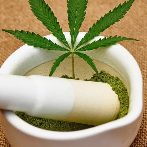 THC Powder: A Modern Twist on Cannabis