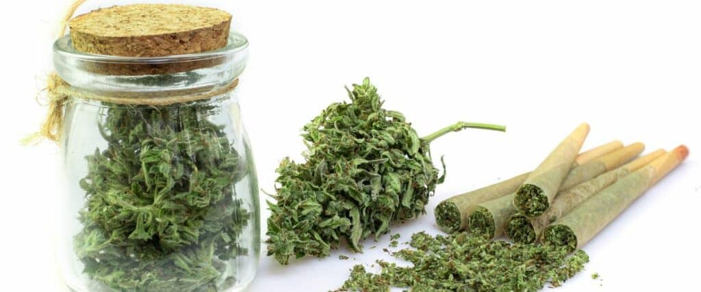 essentials of cannabis curing