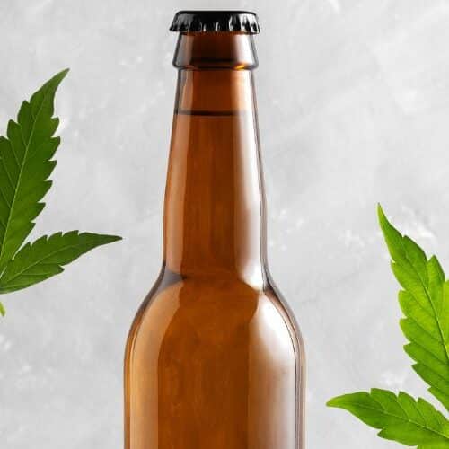 brewing with cannabis-infused beer