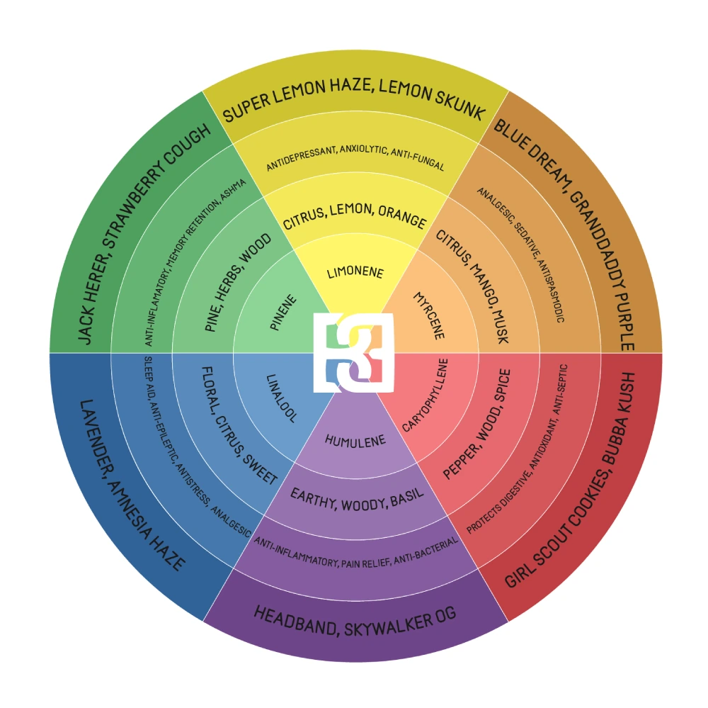 Detailed terpene wheel featuring various cannabis strains, terpenes, and their effects, such as limonene, myrcene, and pinene.