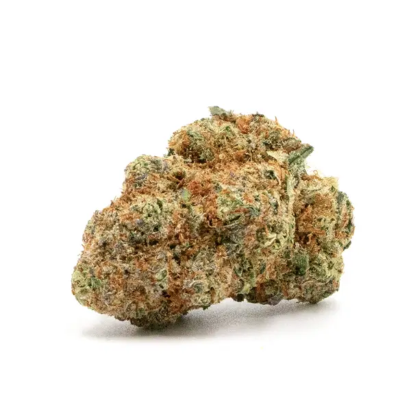Compact Jokerz Candy THCA Flower bud displaying a frosty coating of trichomes with a blend of green and orange tones