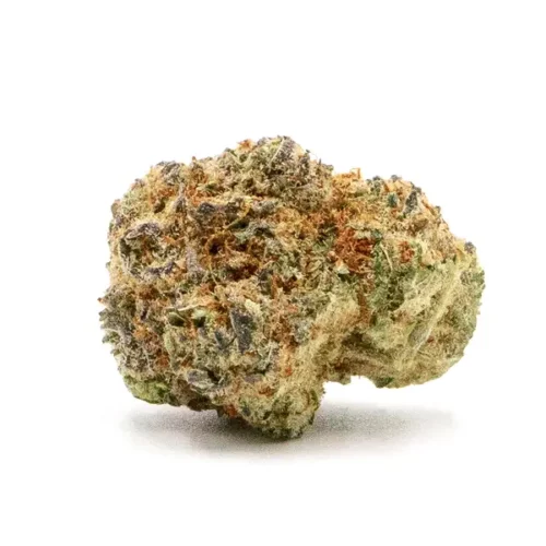Single Jokerz Candy THCA Flower bud with dense structure, covered in trichomes and featuring green and orange hues