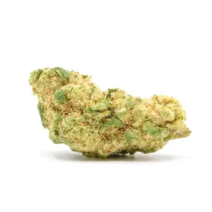 Compact Lilac Diesel THCA Flower bud with a rich green tone and light dusting of trichomes