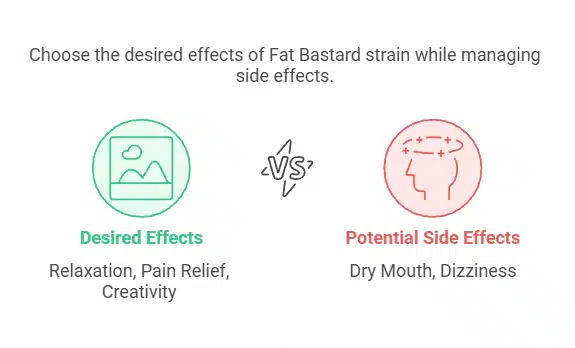 Comparison chart for Fat Bastard strain showing desired effects like relaxation and creativity versus potential side effects such as dry mouth