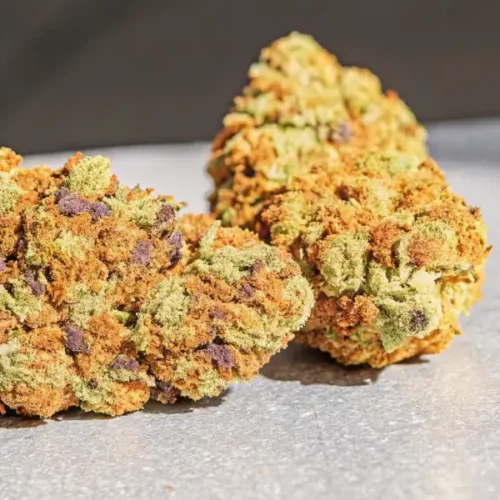 Close-up of cannabis buds with purple hues, green leaves, and frosty trichomes.