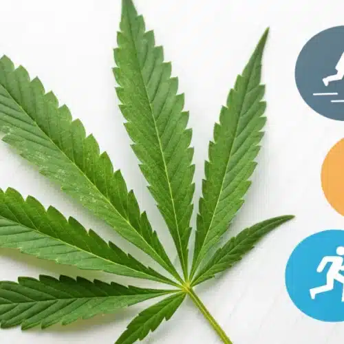 A green cannabis leaf on a white background, accompanied by five colorful circular icons depicting various activities like running, cycling, and hiking.